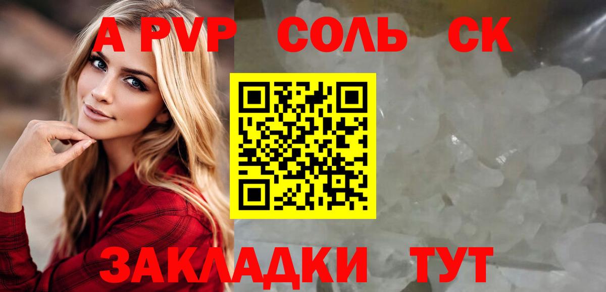 A PVP СК КРИС Солнечногорск