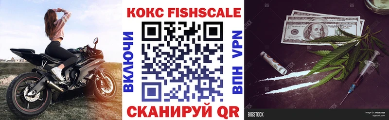 KRAKEN онион  Солнечногорск  Cocaine Эквадор  как найти закладки 