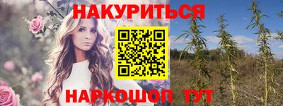 сатива Можайск