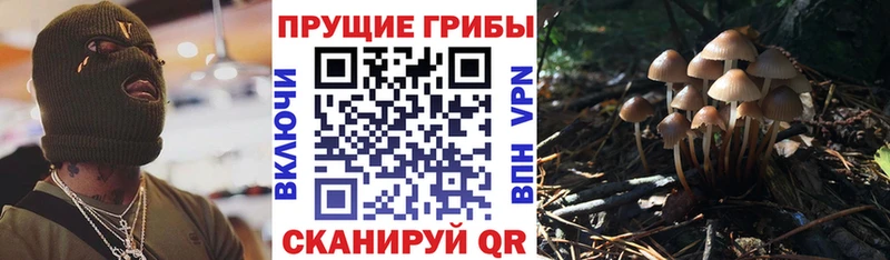 Галлюциногенные грибы Cubensis  OMG ССЫЛКА  Солнечногорск 