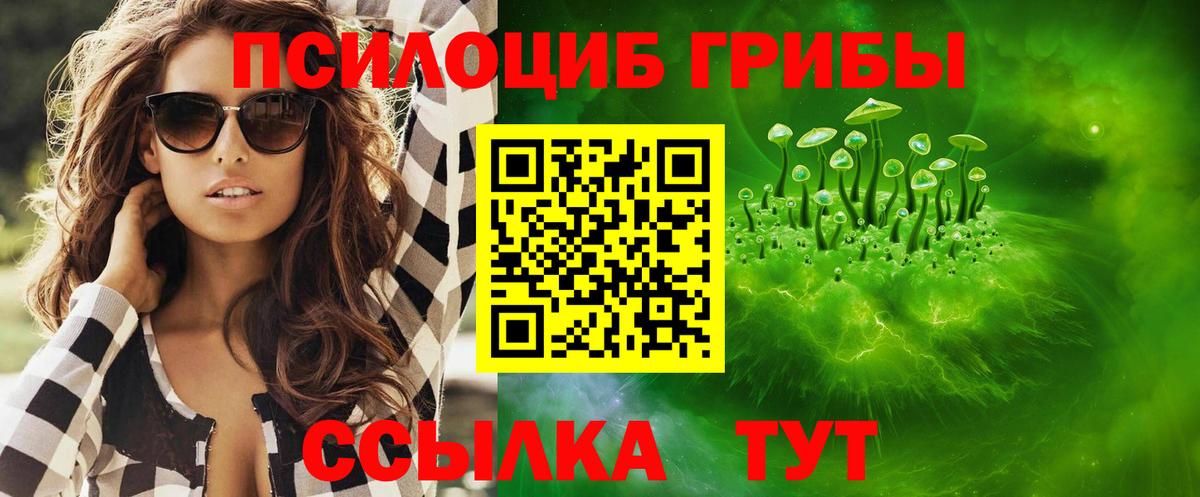 Псилоцибиновые грибы Psilocybe Солнечногорск