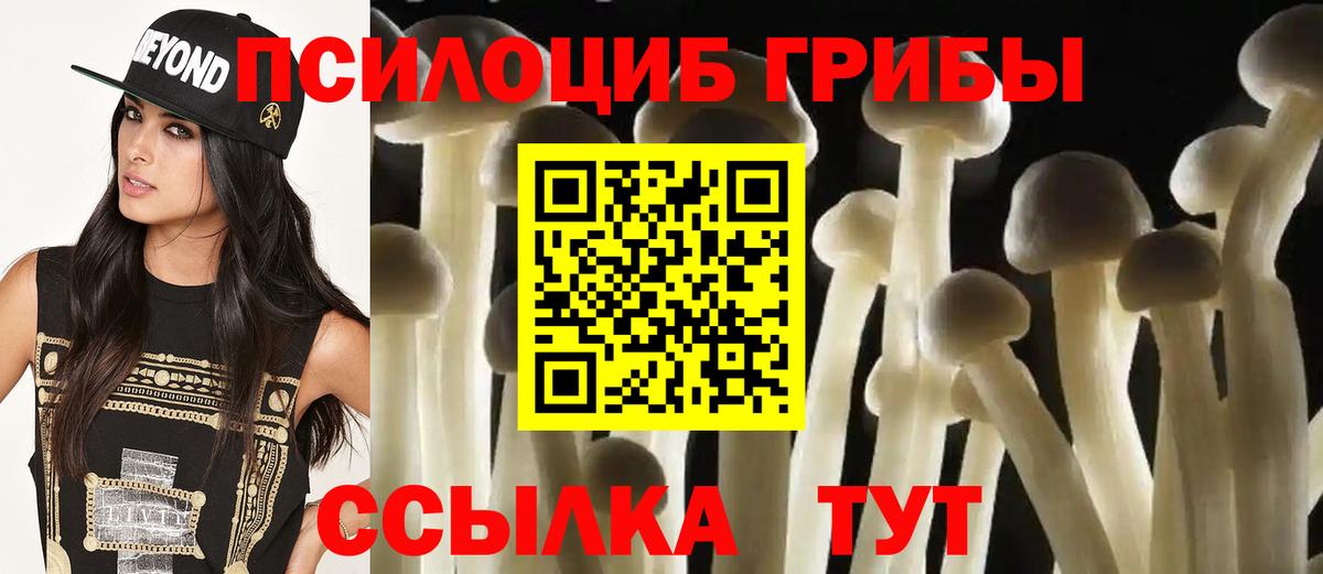 Псилоцибиновые грибы мицелий  Вход с VPN  Псилоцибиновые грибы Psilocybine cubensis  Солнечногорск 
