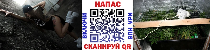 Шишки марихуана MAZAR  Солнечногорск 